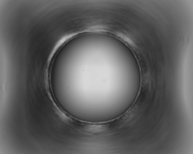 X0000087331470200704201119