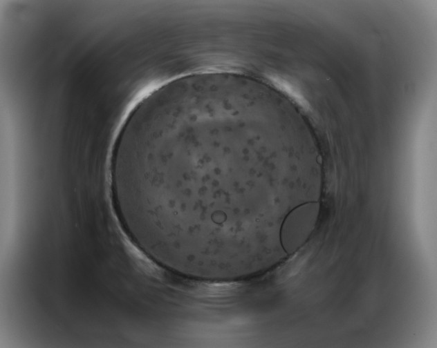 X0000087331471200704201119