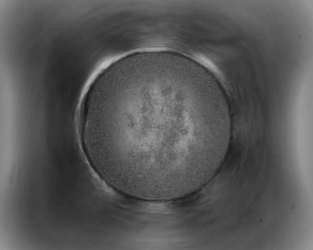 X0000087331472200704201119