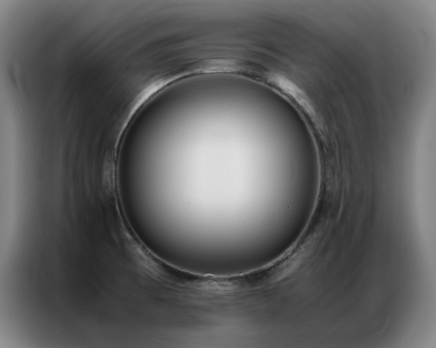 X0000087331473200704201119