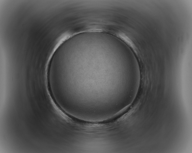 X0000087331475200704201119