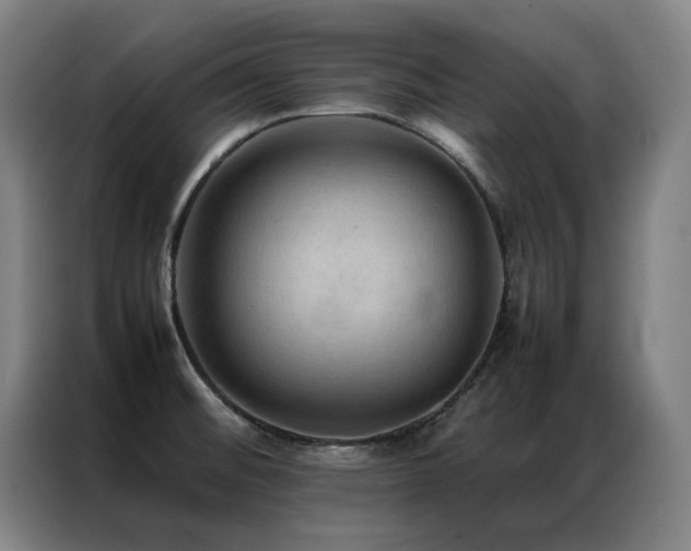 X0000087331476200704201119