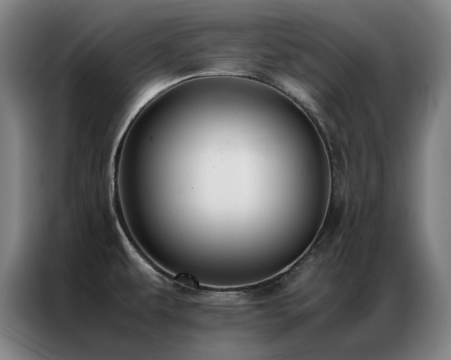 X0000087331479200704201119
