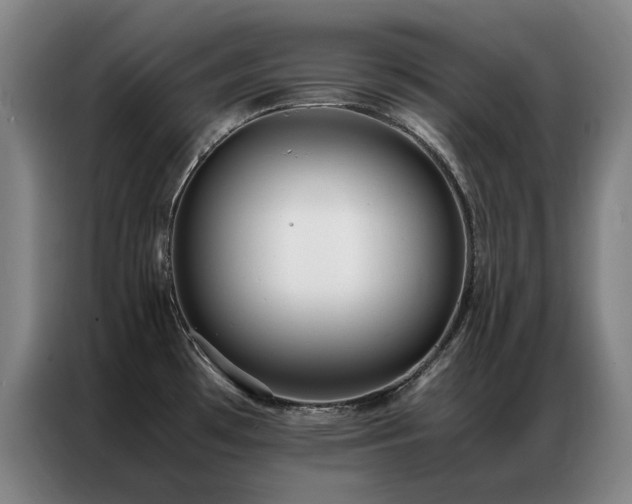 X0000087331481200704201119