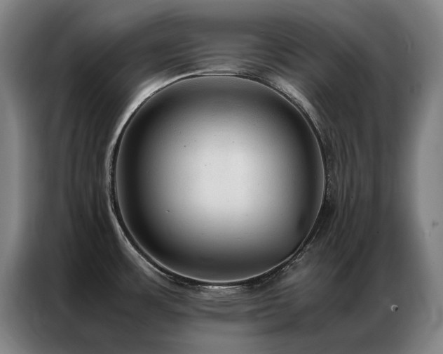 X0000087331483200704201119