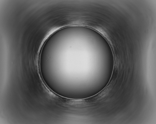 X0000087331486200704201119