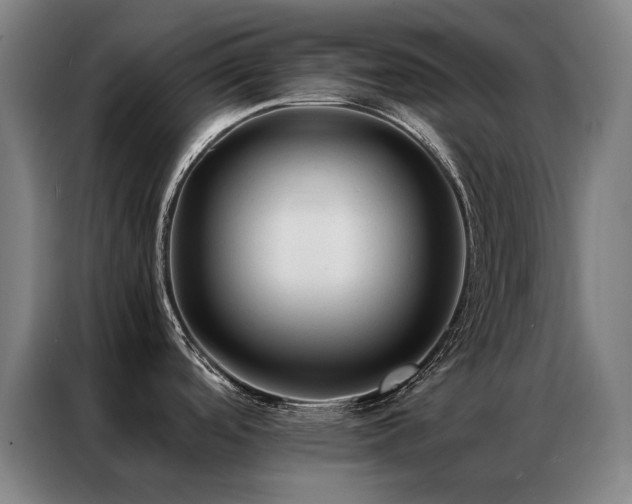 X0000087331488200704201119