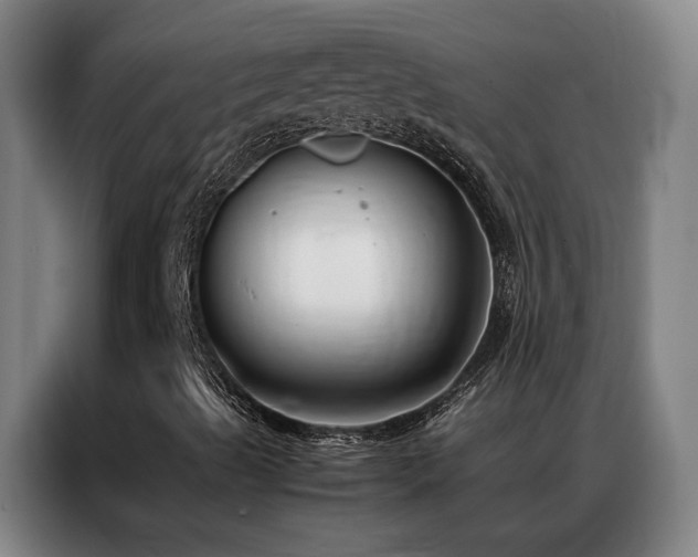 X0000087331489200704201118