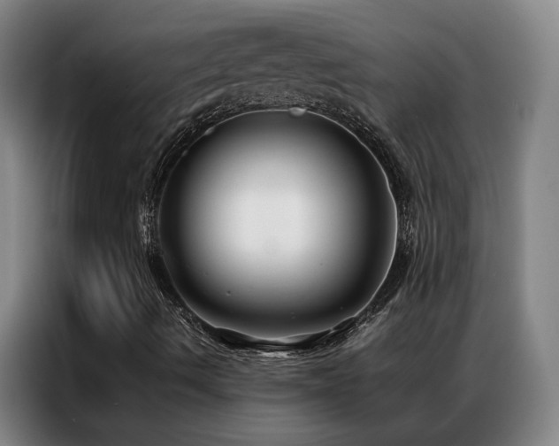 X0000087331490200704201118