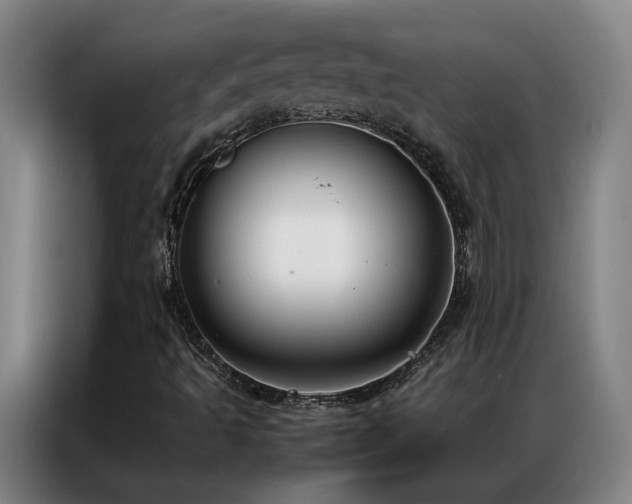 X0000087331493200704201118