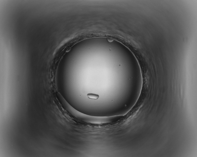 X0000087331494200704201118