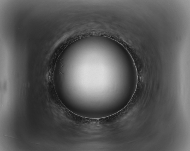 X0000087331495200704201118
