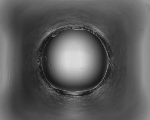 X0000087331496200704201118