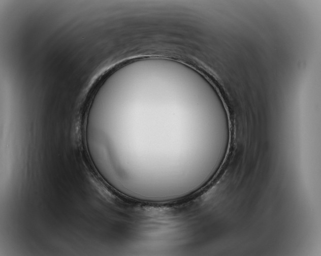 X0000087331498200704201118