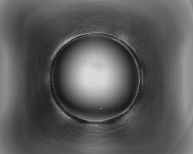 X0000087331500200704201119