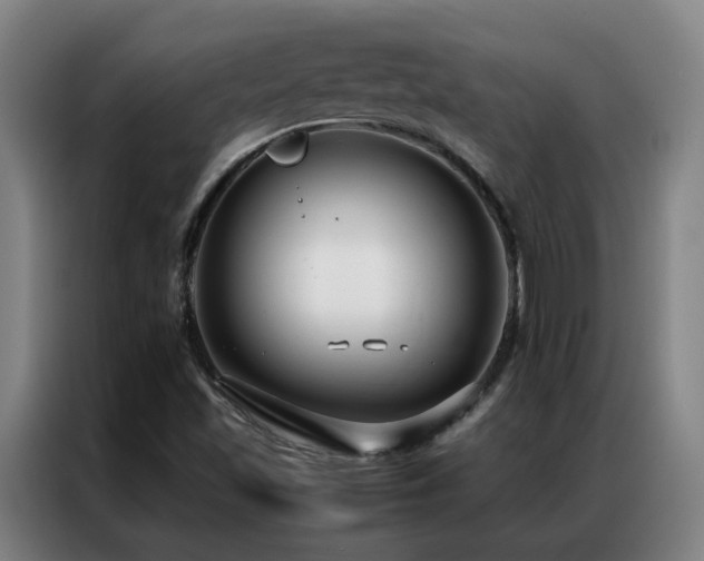 X0000087331501200704201119