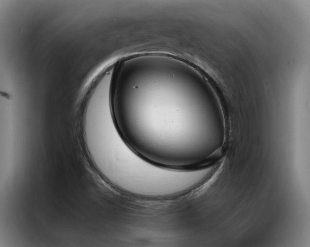 X0000087331502200704201119