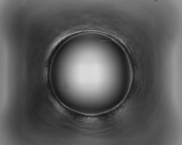 X0000087331503200704201119
