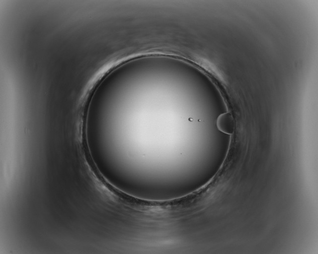 X0000087331504200704201119