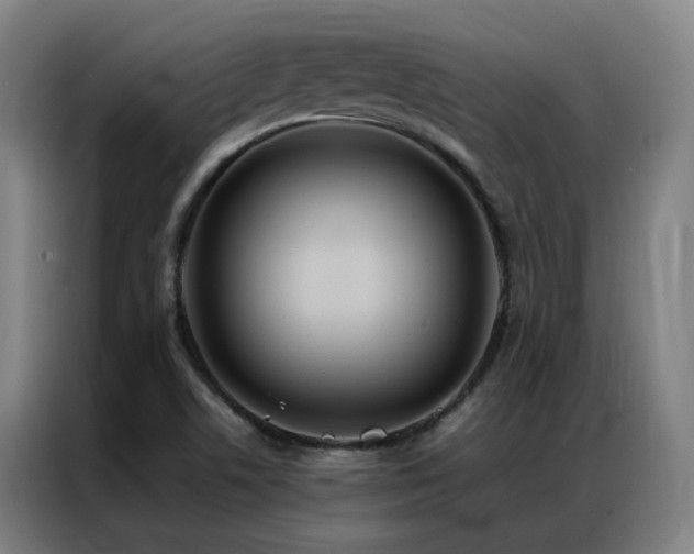 X0000087331506200704201119
