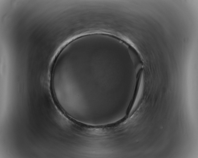 X0000087331508200704201119
