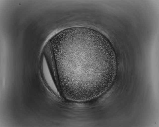 X0000087331509200704201119
