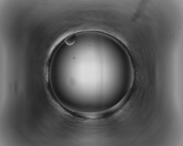 X0000087331510200704201119