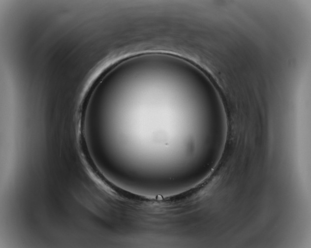 X0000087331511200704201119