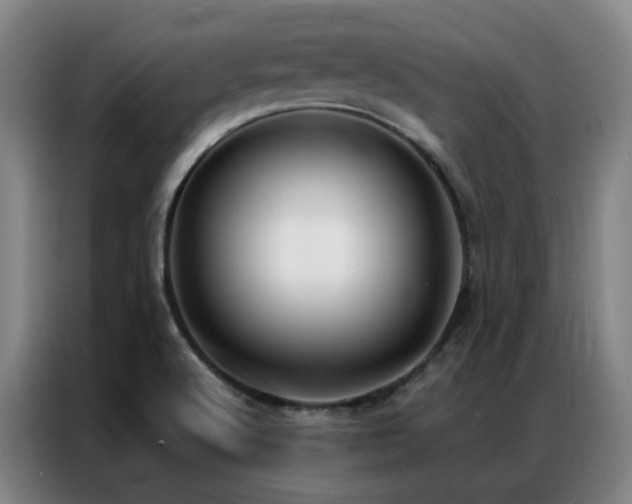 X0000087331512200704201119