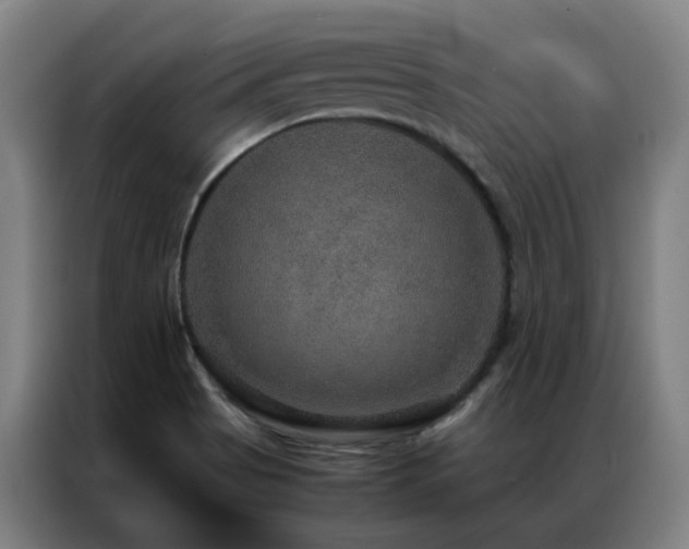 X0000087331513200704201119