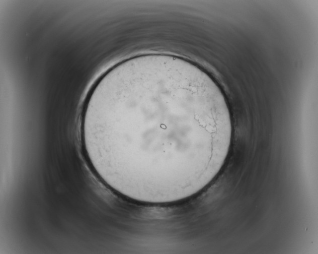 X0000087331514200704201119