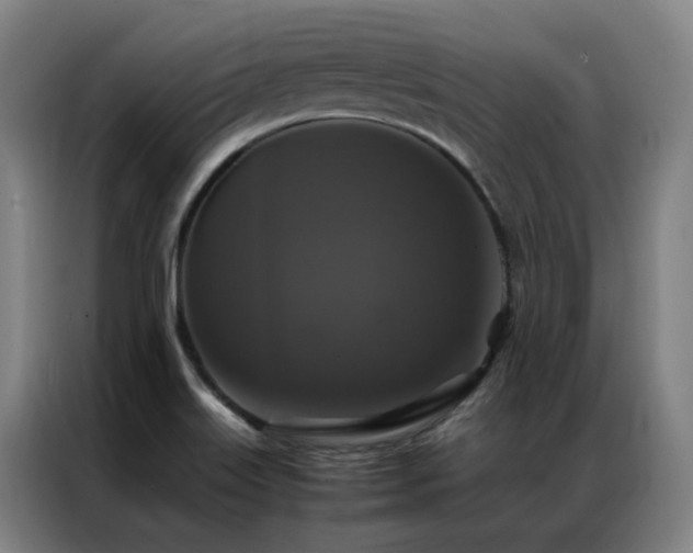 X0000087331515200704201119