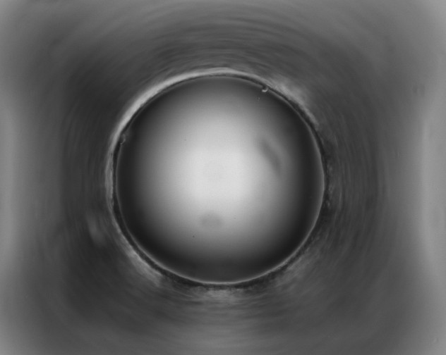 X0000087331516200704201119