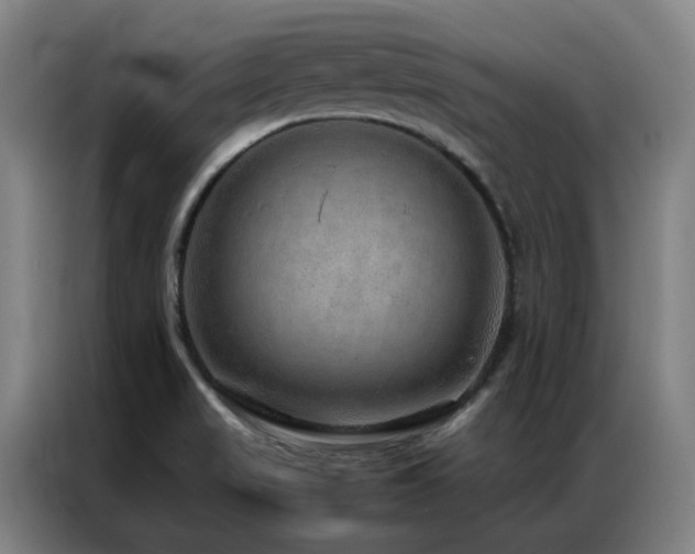 X0000087331517200704201119