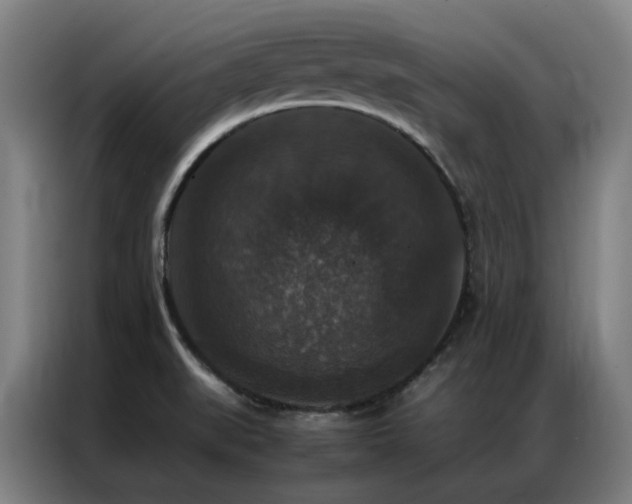 X0000087331519200704201119