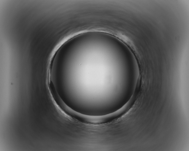 X0000087331520200704201119