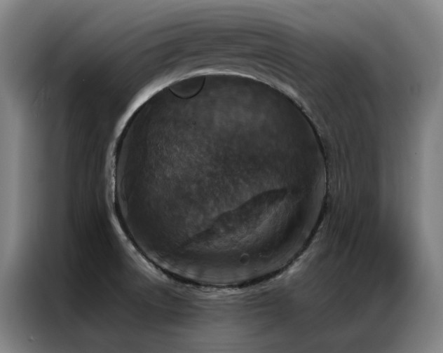 X0000087331522200704201119