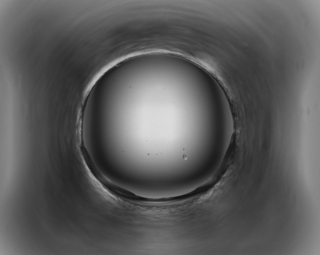 X0000087331524200704201119