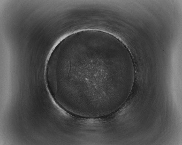X0000087331527200704201119