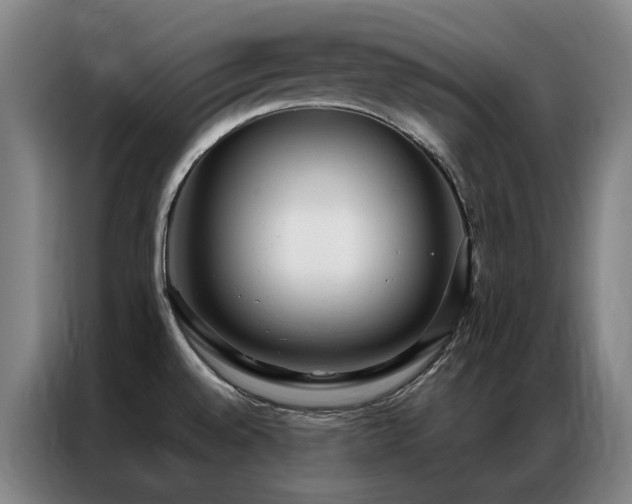 X0000087331528200704201119