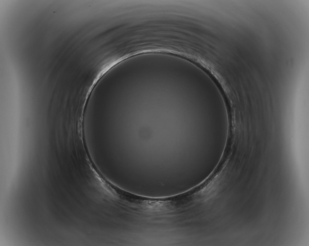 X0000087331529200704201119