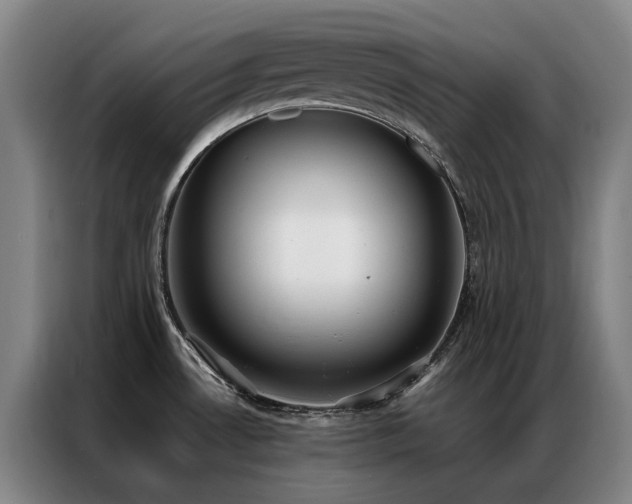 X0000087331530200704201119