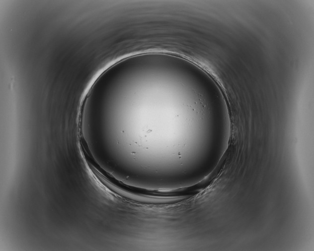 X0000087331532200704201119