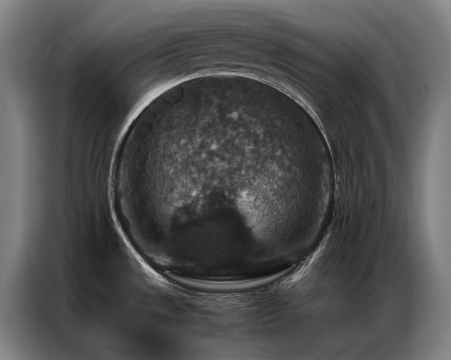 X0000087331533200704201119