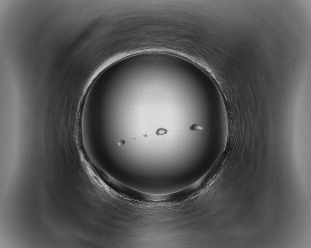 X0000087331534200704201119