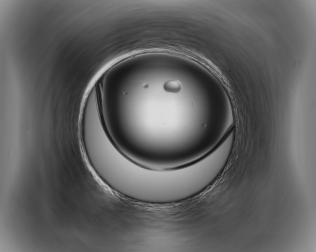 X0000087331536200704201119