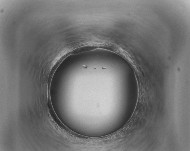 X0000087330011200704271504