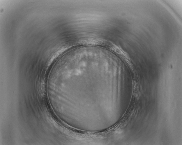 X0000087330012200704271504