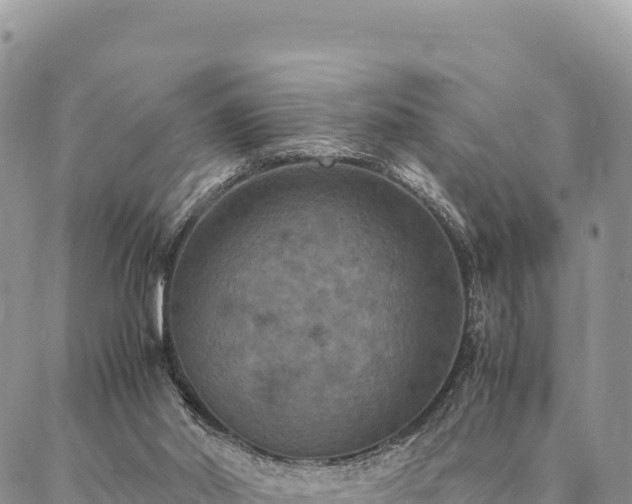 X0000087330014200704271504