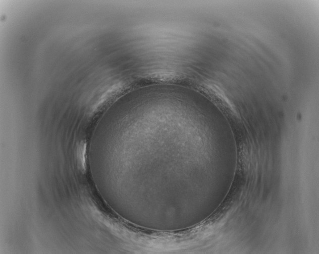X0000087330024200704271504